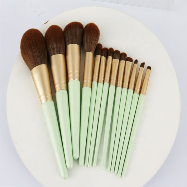 

professional makeup brush 13 piece cosmetics brush tool
