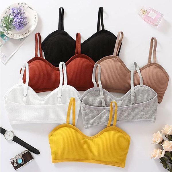 

bra women fitness gym suit push up solid sport running underwear for yoga accessories summer crop jogging outfit