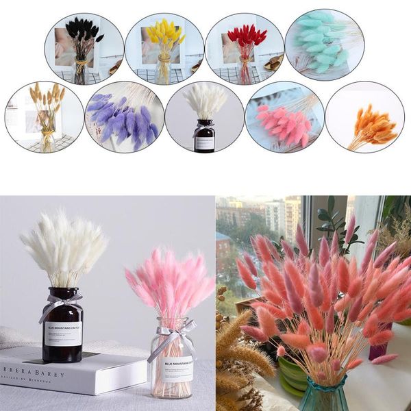 

20pcseternal flower natural dried flower plants tail grass preserved black home decor wedding props dropship