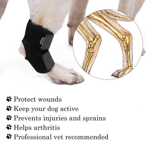 

dog apparel 1pc canine rear leg knee brace hock joint wrap for heals and prevents injuries sprains helps with loss of stability