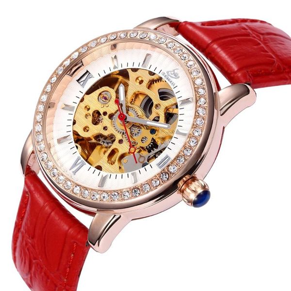 

wristwatches women crystal skeleton steampunk self wind ladies mechanical wrist watch relogio masculino luxury timepiece 11, Slivery;brown