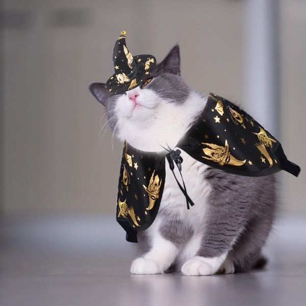 

cat costumes cosplay costume investigation team cape cloak pet dog pography props products