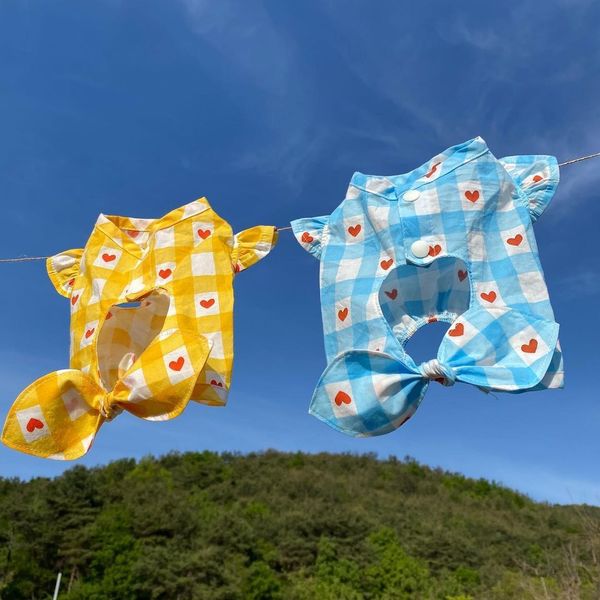 

ins south korea summer autumn love hollowed out skirt bear teddy pony dog strap pet cloth