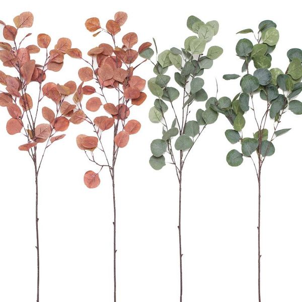 

model hair pulp money leaf eucalyptus leaves eucalyptus leaves round leaf model plant wedding flower arrangement with hom