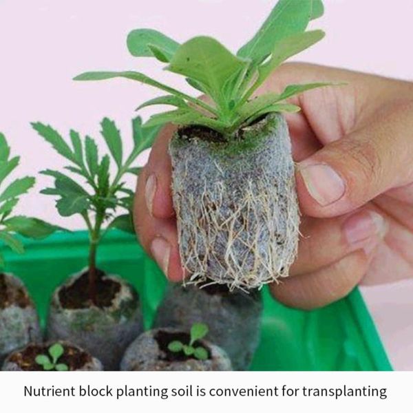 

planters & pots 10pcs seedling nutrient block starting plugs seeds starter pallet substance medium flower planting soil 30mm