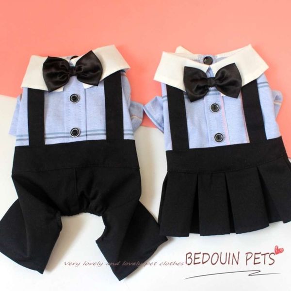 

pet student teddy bear four legged thin lovers clothing puppy dog spring and summer