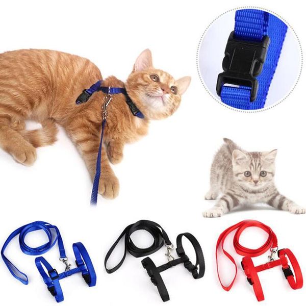 

cat collars & leads rope collar harness leash