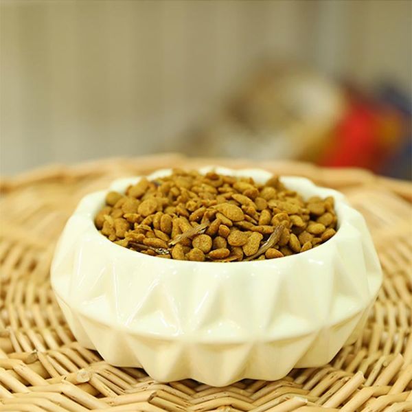

cat bowls & feeders pet ceramic creative flower shape design water bowl feeder for dogs cats dog feeding supplies