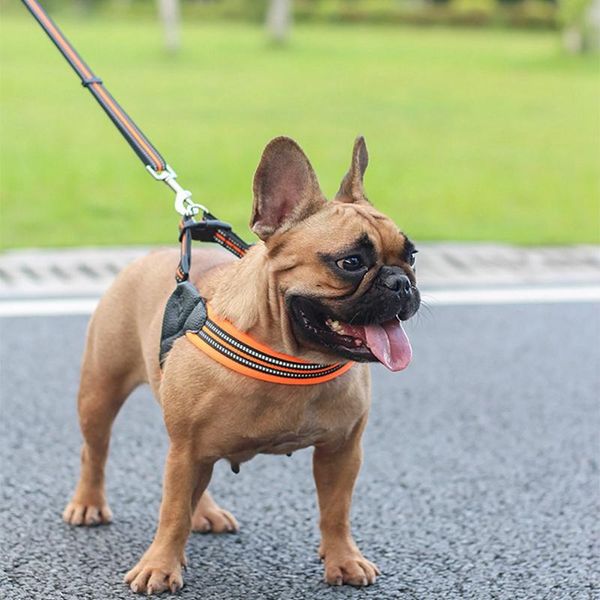 Collari per cani Guinzagli Articoli da viaggio sicuri per animali domestici Gilet per cuccioli Imbracatura riflettente traspirante in rete per cuccioli