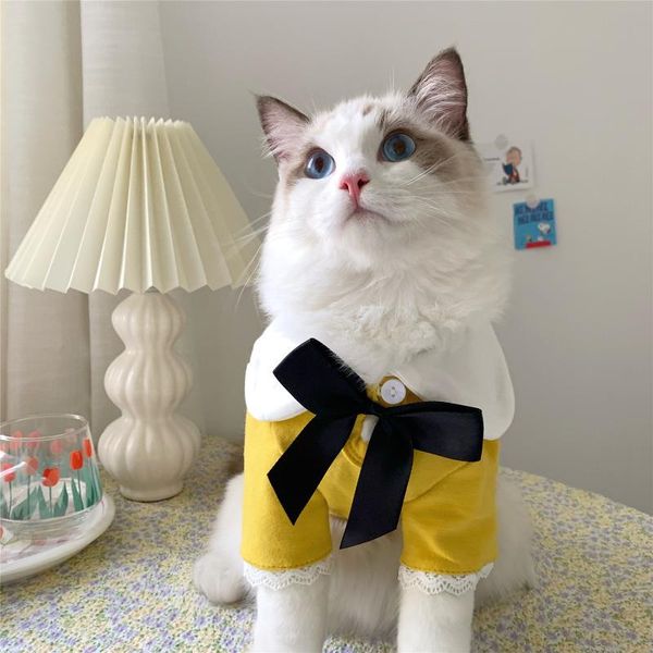

cat costumes year autumn winter sweater dog warm clothes pet for kitten puppy clothing lovely hoodies cute costume n88