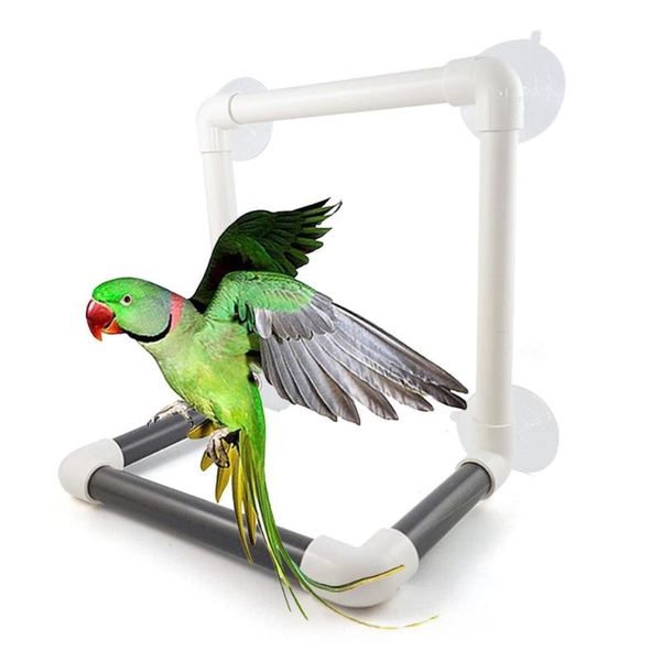 

other bird supplies parrot suction cup shower perch cage standing bar bathing toy pet 2021
