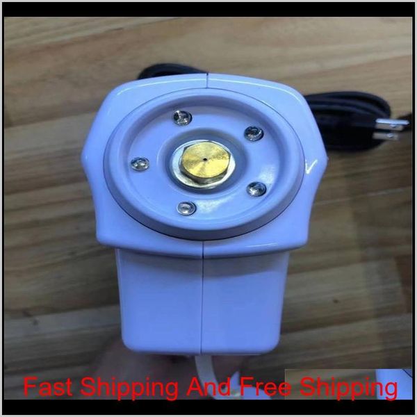 

2020 new handheld electric hair nano spray gun blue ray disinfectant sterilizer 1200w big power hous qylonc my_home2010