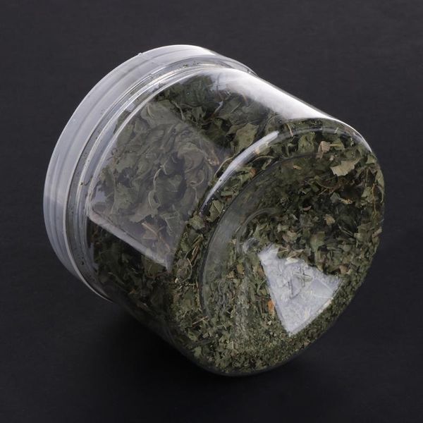 

cat toys natural silvervine leaves catnip dried polygonum matatabi flavor