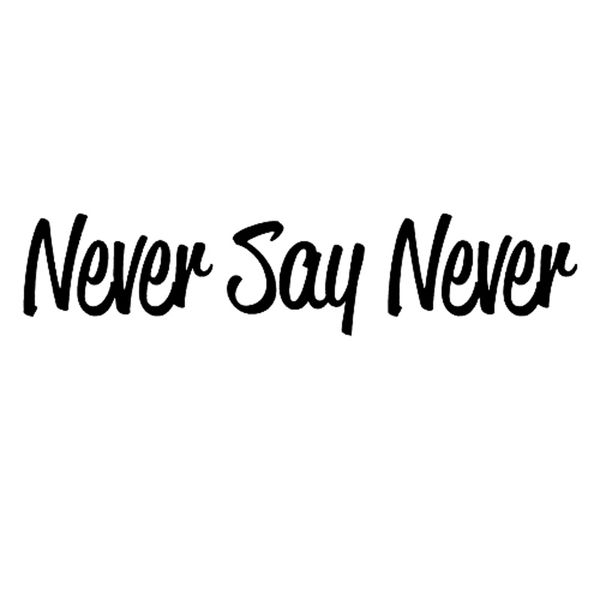

19.5cm*4.2cm fashion never say never vinyl high-quality car sticker and decal black silver c15-1600