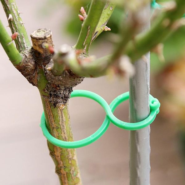 

other garden supplies 50/100 pcs plant holder trellis clips for vine vegetable tomato growing upright stand tool