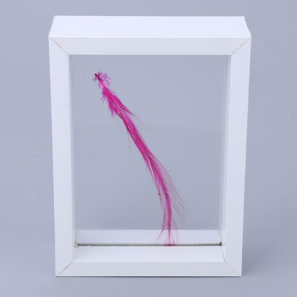 

frames 3d composite solid wood frame double side glass specimen,sample display box