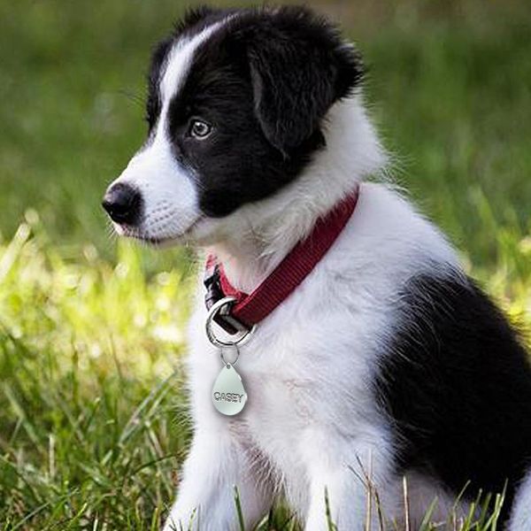 

stainless steel pet dog id tags personalized antilost custom puppy cat name phone tag collar accessories bone round mili qylywj