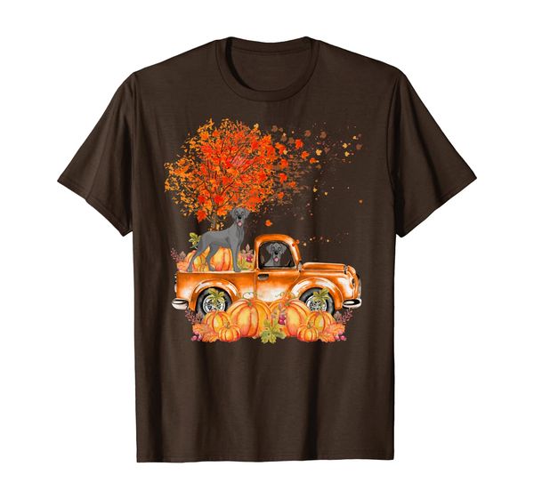 

great dane dog on pumpkins truck autumn leaf fall t-shirt, White;black
