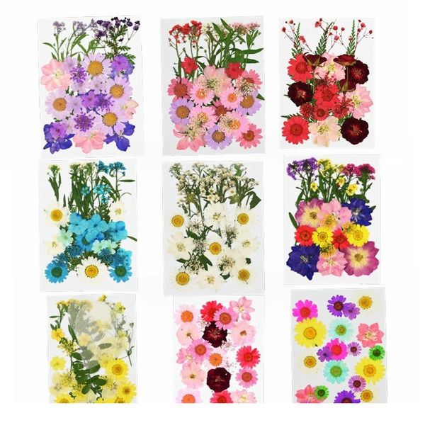 

pressed flowers mini dried flowers diy scrapbooking flowers for home wedding christmas navidad party decoration flor qylfdy
