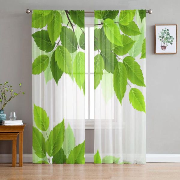 

curtain & drapes branch with fresh green leaves modern tulle curtains for living room bedroom home kitchen window sheer