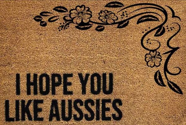 

carpets i hope you like aussies doormat dog australian shepherd mom decor lover
