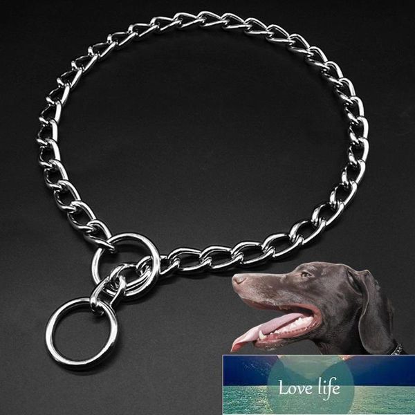 Verstellbares Hundehalsband aus Edelstahl mit Metallkette, zweireihig, verchromt, Choke-Training, Show, Sicherheitskontrollbekleidung