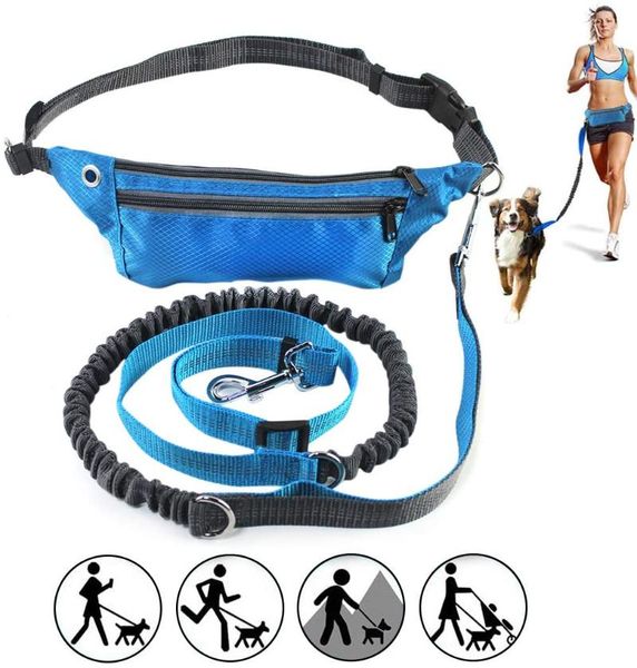 

dog collars & leashes hands dogs leash running walking waist pocket waterproof belt product elasticity adjustable
