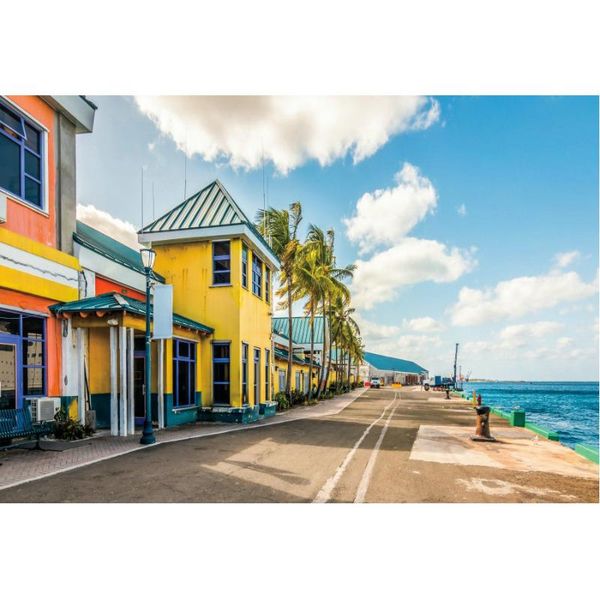 

party decoration natural scenery backdrop tropical seaside colorful town pography background decor born wedding po booth prop