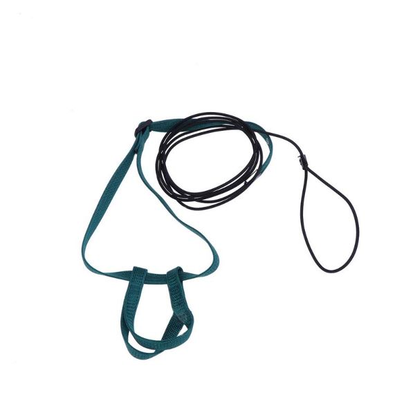 

adjustable pet bird parrot harness leash for outdoor walking size (random color)