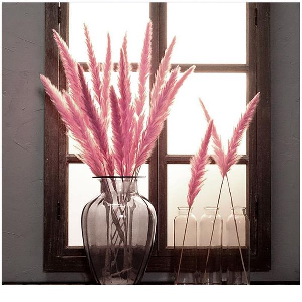 

7pcs bulrush natural dried small pampas grass phragmites christmas home decor diy dried real flowers bouquet flower arr jlleee