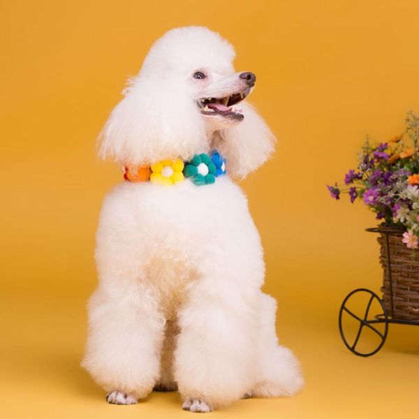 

dog collars & leashes pet supplies collar temperament meow jewelry