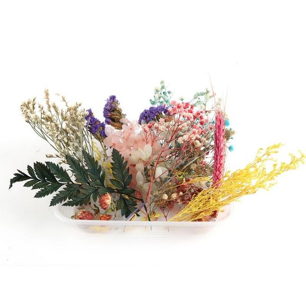 

decorative flowers & wreaths 1 box real dried flower dry plants for candle epoxy resin pendant necklace jewelry making craft di