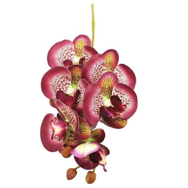 

decorative flowers & wreaths one artificial latex butterfly orchid 6/7 heads/piece real touch phalaenopsis for floral decoration