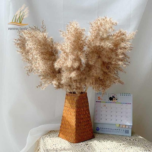 

decorative flowers & wreaths dried pampas grass decor fluffy tall 20-22'' wedding arrangement natural bouquet for home christmas d