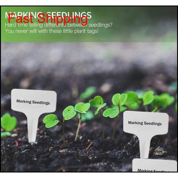 

waterproof plant lables plastic plant t-type tags markers nursery garden labels seedling patio lawn garden jllcxz bdebag