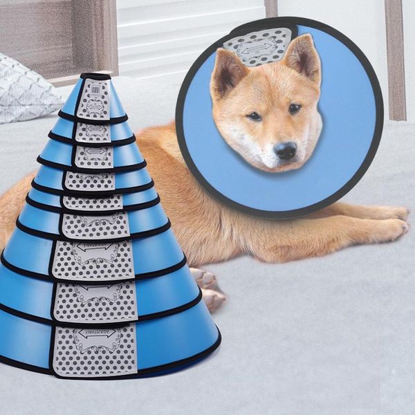 

dog collars & leashes candy color pet elizabethan circle protection collar headgear neck anti-licking and anti-biting cone