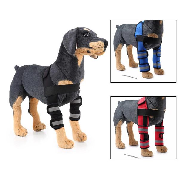 

dog apparel knee brace injuries leg reflective joint wrap canine front arthritis prevents wounds heals