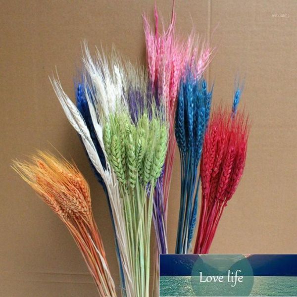 Flores decorativas Grinaldas 25 pcs Artificial Trigo Pogador Decoração DIY DIY Crafts Decorar Festivo Party Grão1 Preço de Fábrica Especialista Qualidade