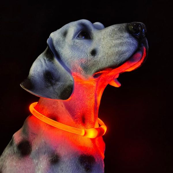 

cat collars & leads pets accessories dog products led pet collar pendant for tags lights personalized quick release id rivet