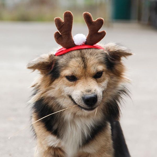 

dog apparel antlers christmas hat adorable pet cat ornaments