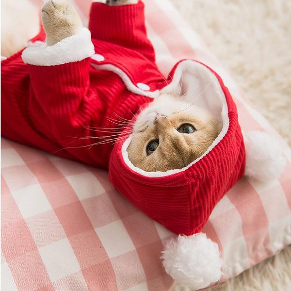 

cat costumes clothes festival year cotton corduroy quadruped warm kitten small dog clothing autumn winter pet coat pink parkas