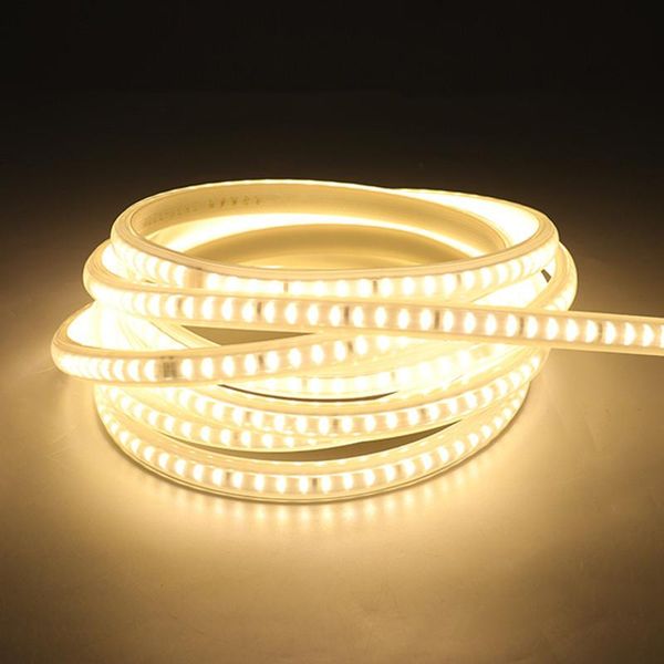 

dimmable ac 220v led strip light 1m-22m kitchen outdoor garden waterproof flexible lamp tape with eu plug for home lighting