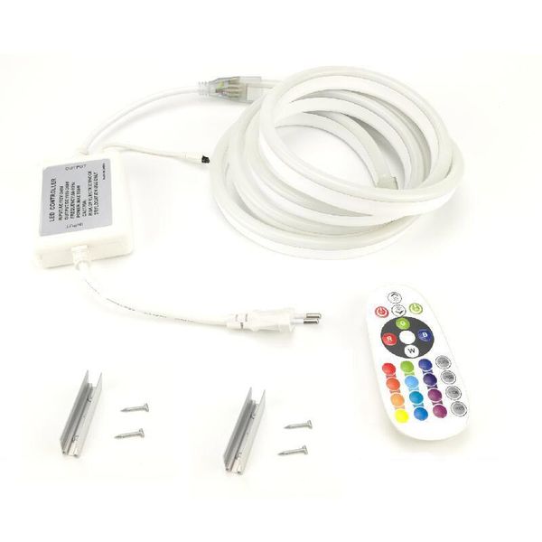 

10mm*20mm rgb led neon strip ac 220v with european standard power cord plug remote controller installation clips 1~50m
