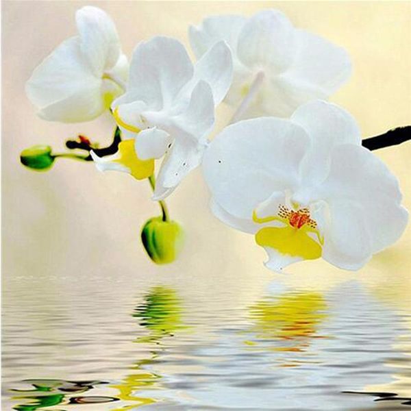 

diamond painting 5d diy white orchid flowers embroidery cross stitch rhinestone mosaic wall sticker wedding decoration