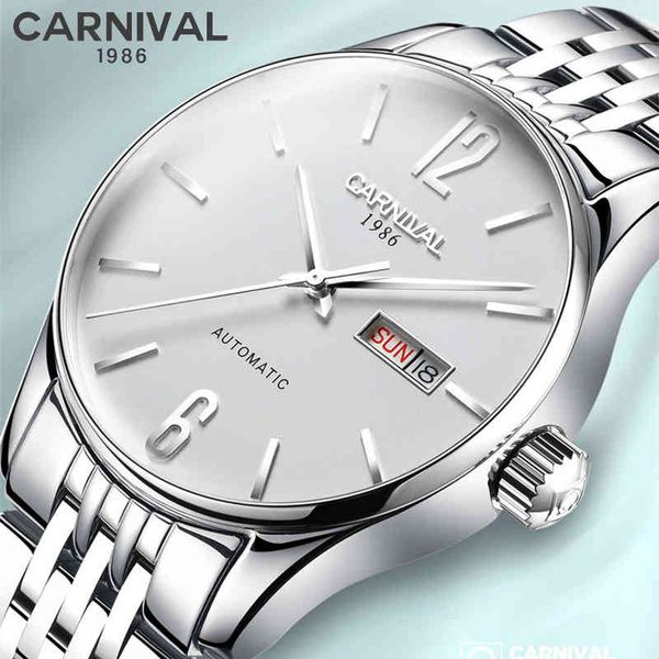 

carnival 2019 automatic mechanical watches gentlemen sier rvs luxury sapphire waterproof 30m calendar men's watch, Slivery;brown