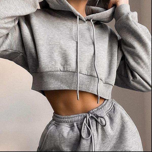 

women casual two piece sweat set hoodie crop sweatshirt high waist long harem pants jogger hoodies suit outfits tracksuit, Gray