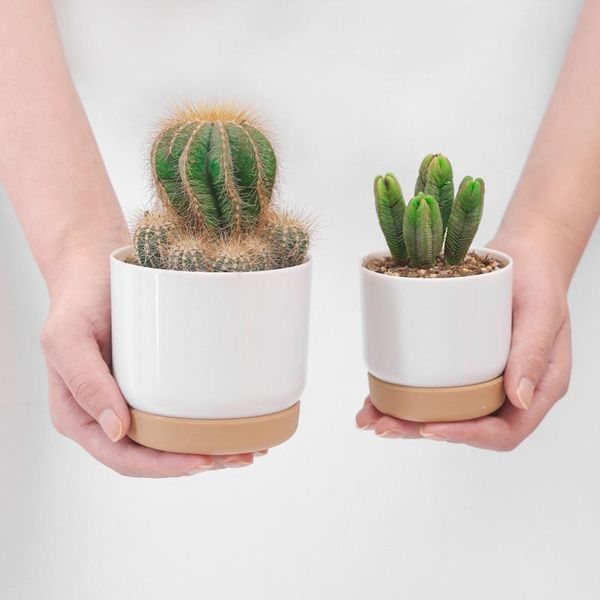 

planters & pots succulent plant pot double-layer green dill small flower garden planter vase for deskdecoration