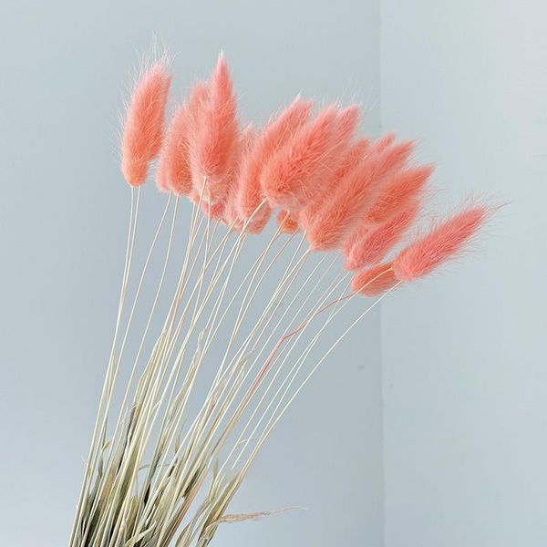 

decorative flowers & wreaths 20pcs/lot real flower natural dried tail grass lagurus ovatus bunch bouquet for home decor wedding decoration