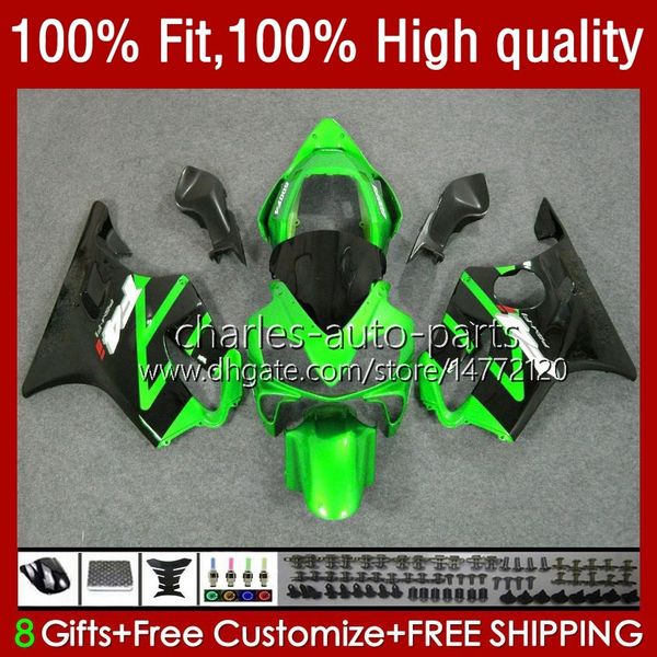 Spritzgusskörper für HONDA CBR 600F4i 600CC 600 F4i FS CC F4 i 04-07 55No.33 CBR600F4i CBR600FS 2004 2005 2006 2007 CBR600 F4i 04 05 06 07 OEM-Verkleidungsset, grün, schwarz