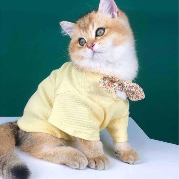 

pet clothes four seasons breathable anti-hair loss net red style fashion brand cute british short blue cat and dog clothes